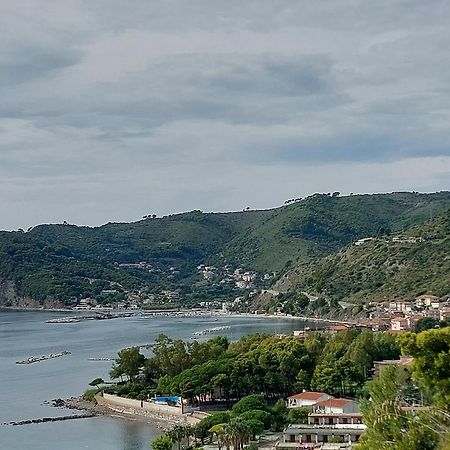 Tenuta Belvedere Cilento مونتيكوريس المظهر الخارجي الصورة